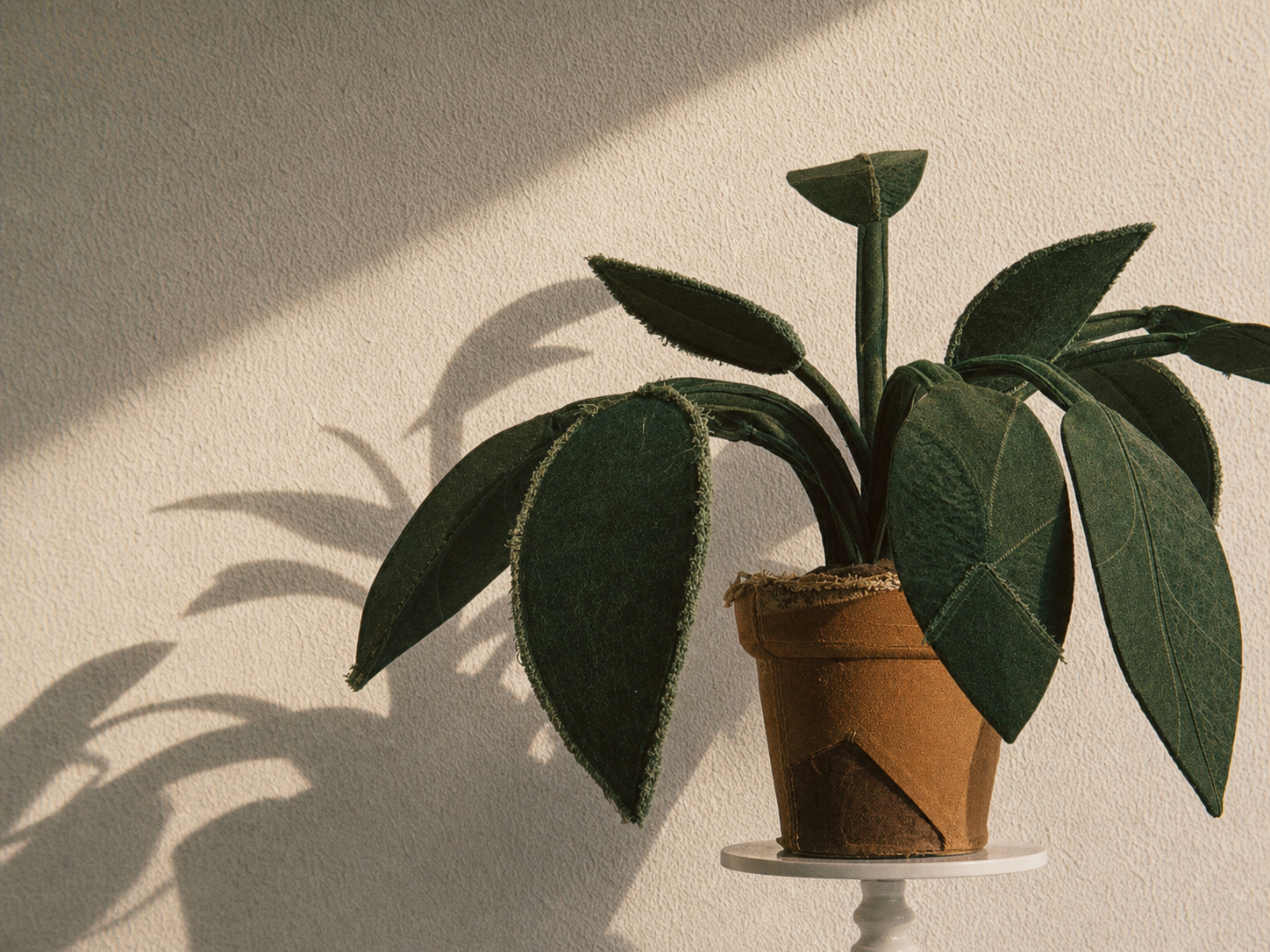 Silver Queen handcrafted plant in warm sunlight